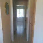Apartman Traumhafte Mit Garten Und Parkplatz Zu Vermieten! Vacanze Da Sogno A Con Giardino E Parcheggio In Affitto!